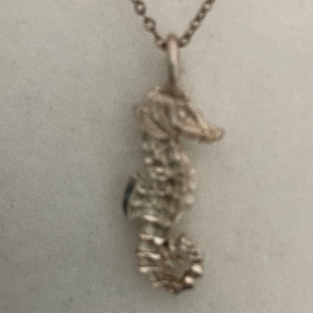 Sterling Silver Seahorse Pendant Necklace
